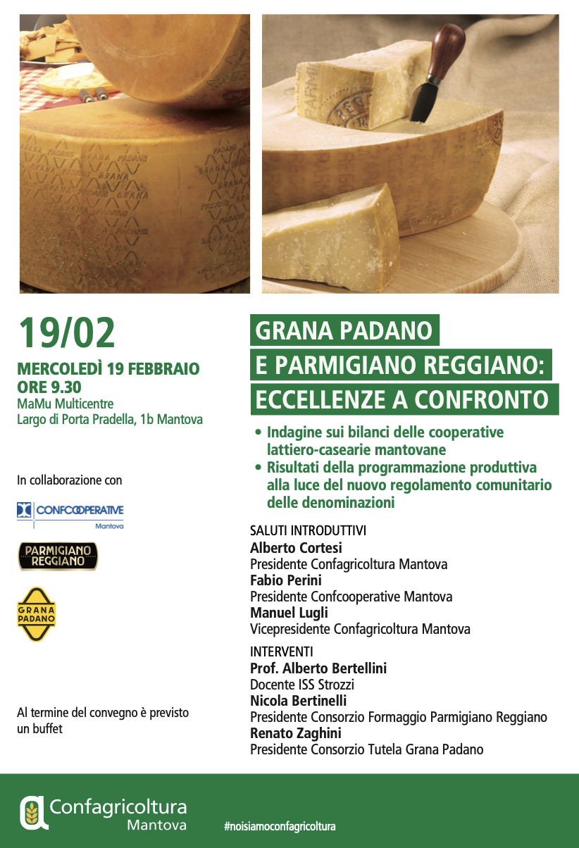 Grana Padano e Parmigiano Reggiano: eccellenze a confronto